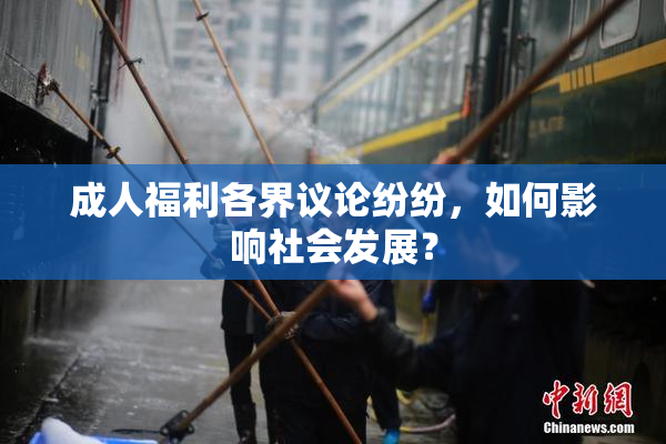 成人福利各界议论纷纷，如何影响社会发展？