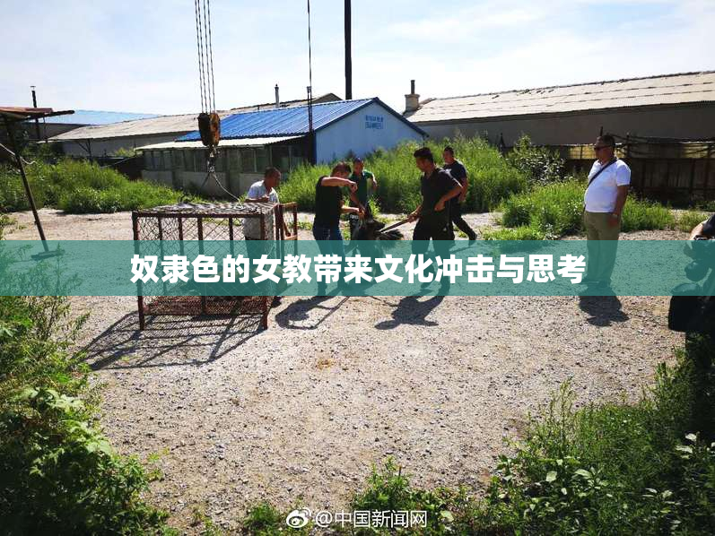 奴隶色的女教带来文化冲击与思考