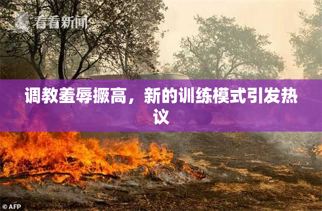 调教羞辱撅高，新的训练模式引发热议