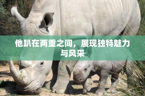 他趴在两重之间，展现独特魅力与风采