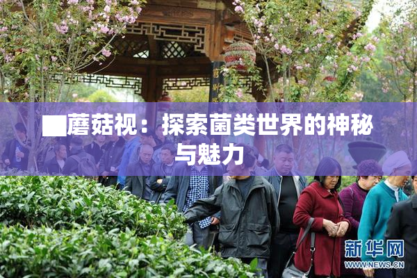 ▇蘑菇视：探索菌类世界的神秘与魅力