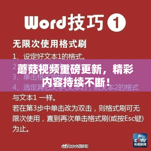 蘑菇视频重磅更新，精彩内容持续不断！