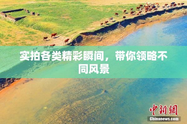 实拍各类精彩瞬间，带你领略不同风景