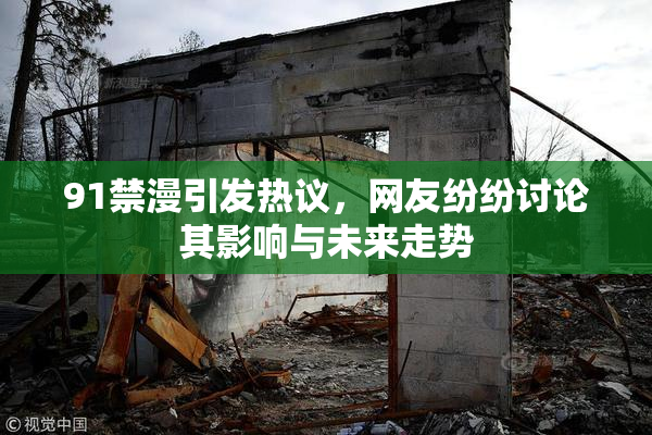 91禁漫引发热议，网友纷纷讨论其影响与未来走势