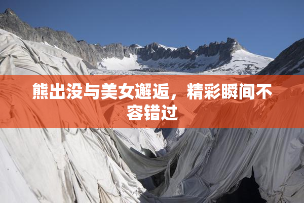 熊出没与美女邂逅，精彩瞬间不容错过
