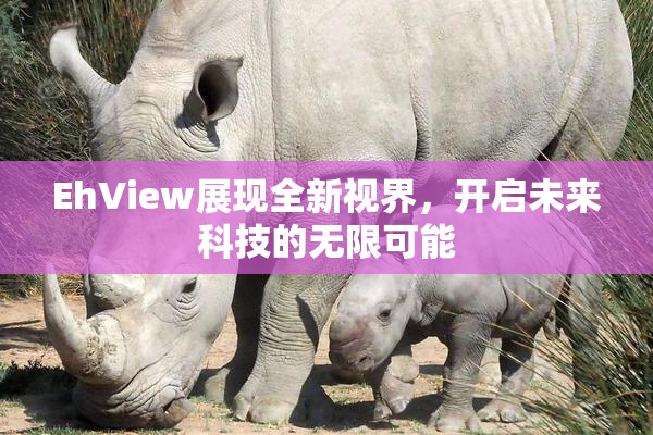 EhView展现全新视界，开启未来科技的无限可能