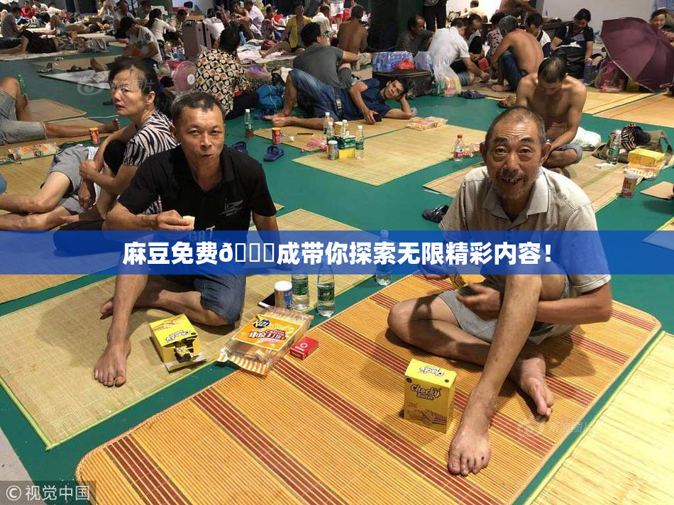 麻豆免费🔞成带你探索无限精彩内容！