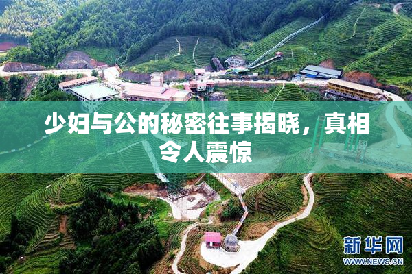 少妇与公的秘密往事揭晓，真相令人震惊
