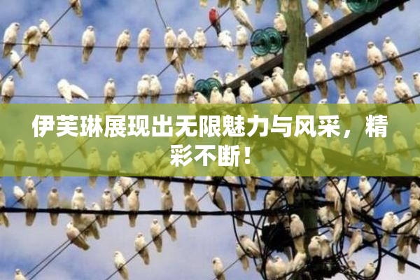 伊芙琳展现出无限魅力与风采，精彩不断！