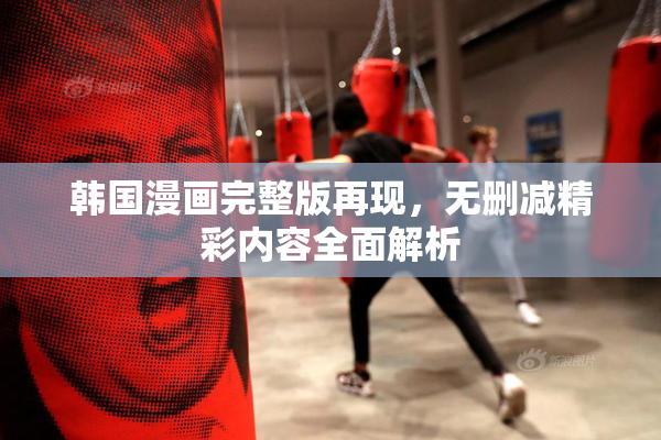 韩国漫画完整版再现，无删减精彩内容全面解析