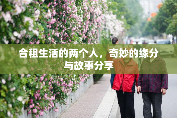 合租生活的两个人，奇妙的缘分与故事分享