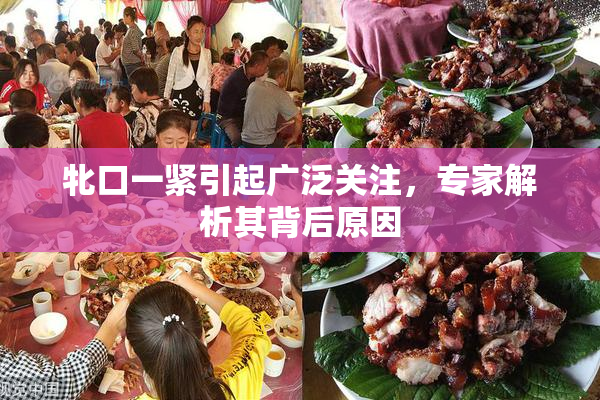 牝口一紧引起广泛关注，专家解析其背后原因