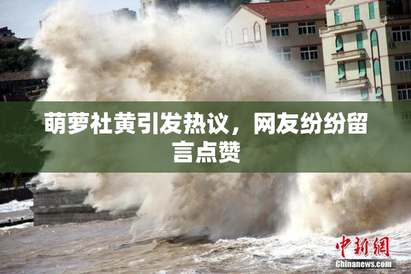 萌萝社黄引发热议，网友纷纷留言点赞