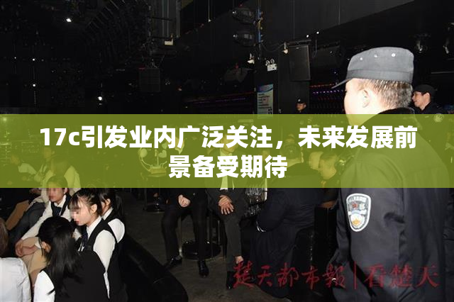 17c引发业内广泛关注，未来发展前景备受期待