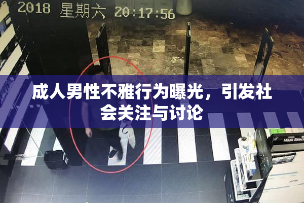 成人男性不雅行为曝光，引发社会关注与讨论