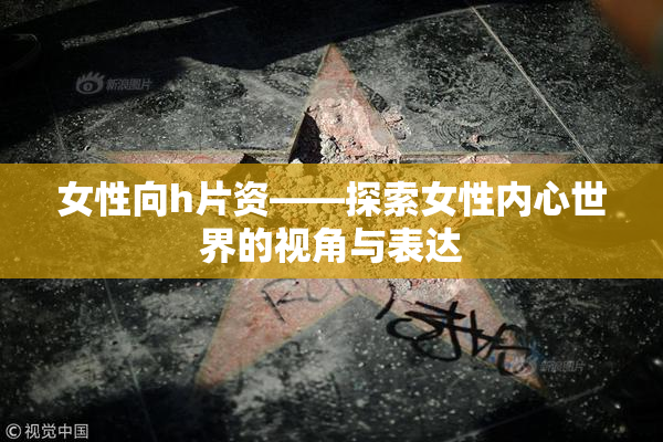 女性向h片资——探索女性内心世界的视角与表达