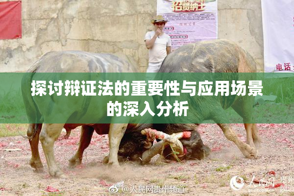 探讨辩证法的重要性与应用场景的深入分析