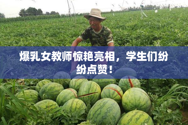 爆乳女教师惊艳亮相，学生们纷纷点赞！