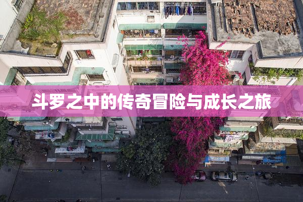 斗罗之中的传奇冒险与成长之旅