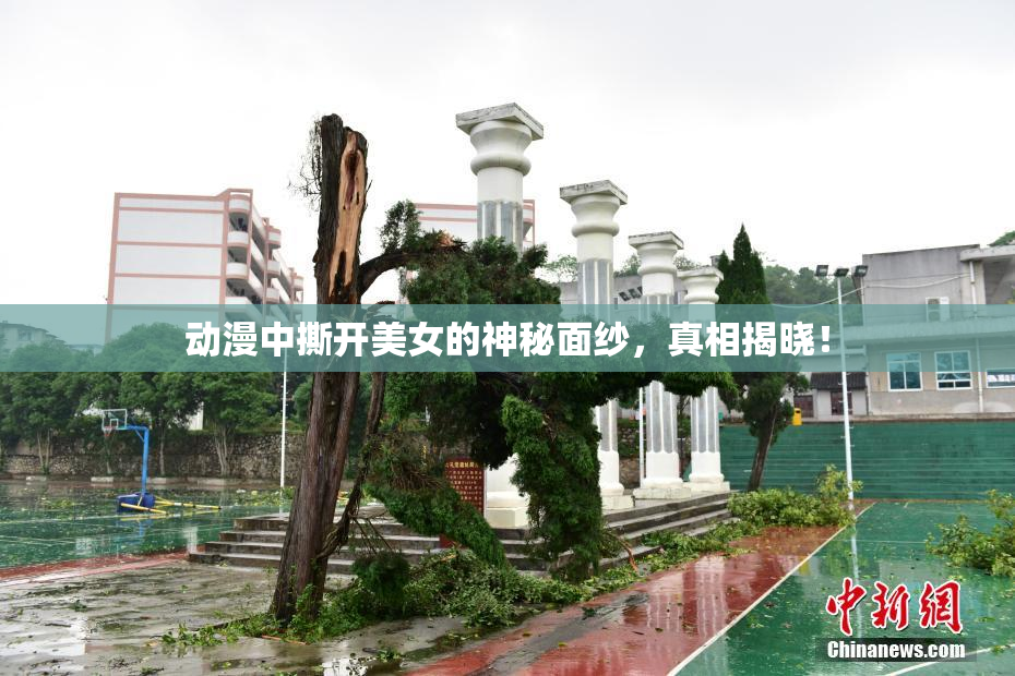 动漫中撕开美女的神秘面纱，真相揭晓！