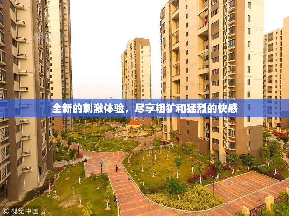 全新的刺激体验，尽享粗犷和猛烈的快感