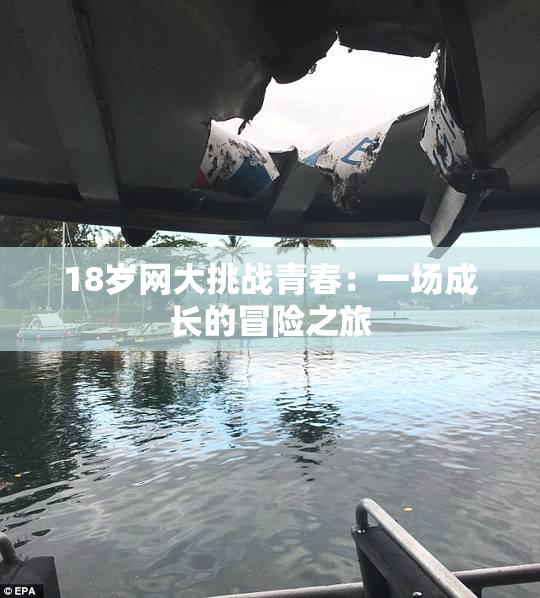 18岁网大挑战青春：一场成长的冒险之旅