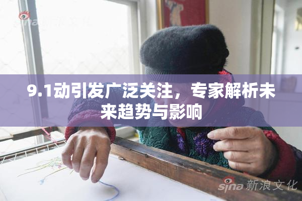 9.1动引发广泛关注，专家解析未来趋势与影响