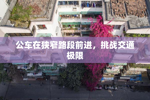 公车在狭窄路段前进，挑战交通极限