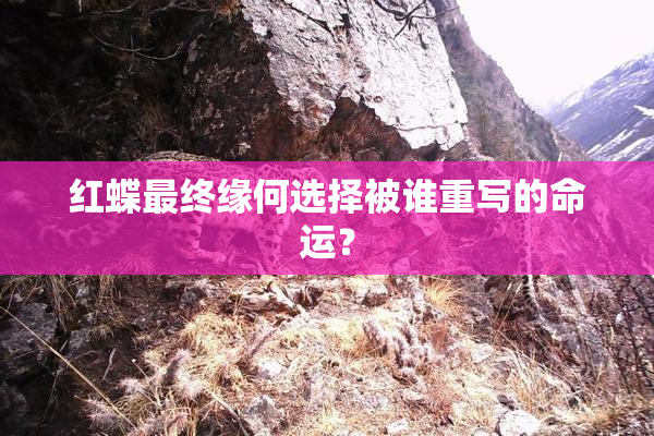 红蝶最终缘何选择被谁重写的命运？