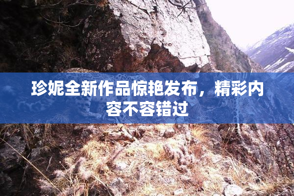 珍妮全新作品惊艳发布，精彩内容不容错过
