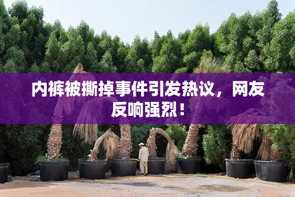 内裤被撕掉事件引发热议，网友反响强烈！
