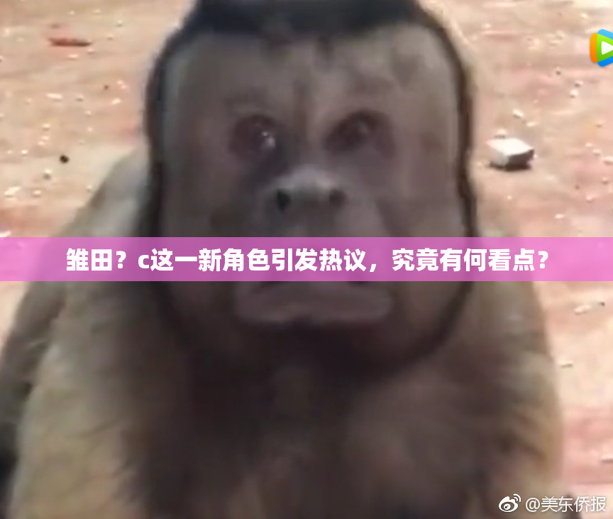 雏田？c这一新角色引发热议，究竟有何看点？