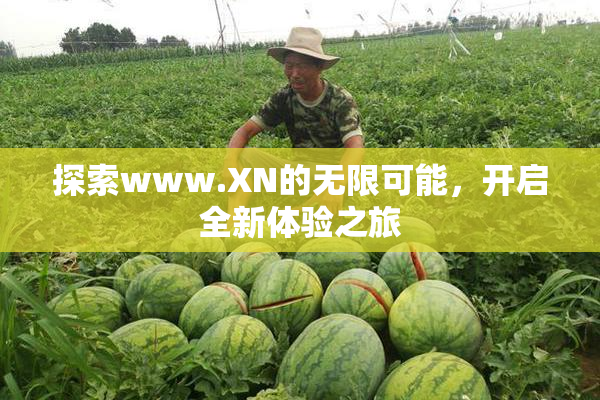 探索www.XN的无限可能，开启全新体验之旅