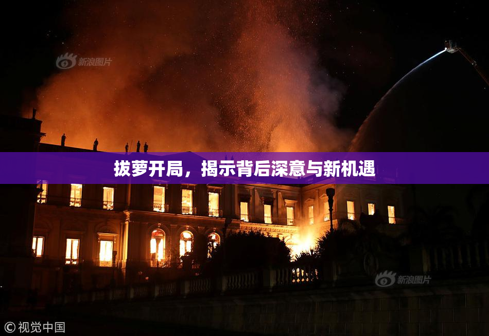 拔萝开局，揭示背后深意与新机遇