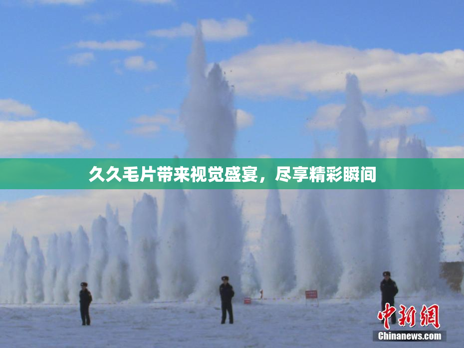 久久毛片带来视觉盛宴，尽享精彩瞬间
