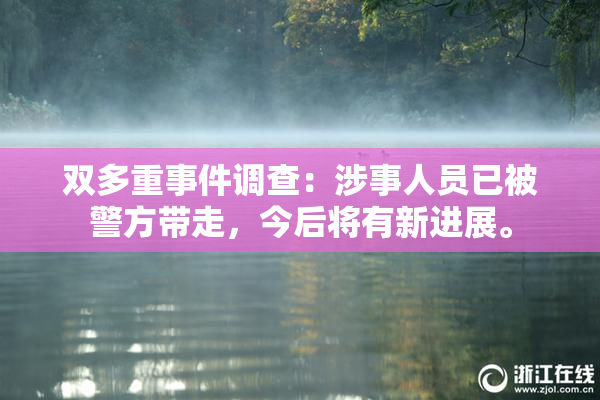 双多重事件调查：涉事人员已被警方带走，今后将有新进展。