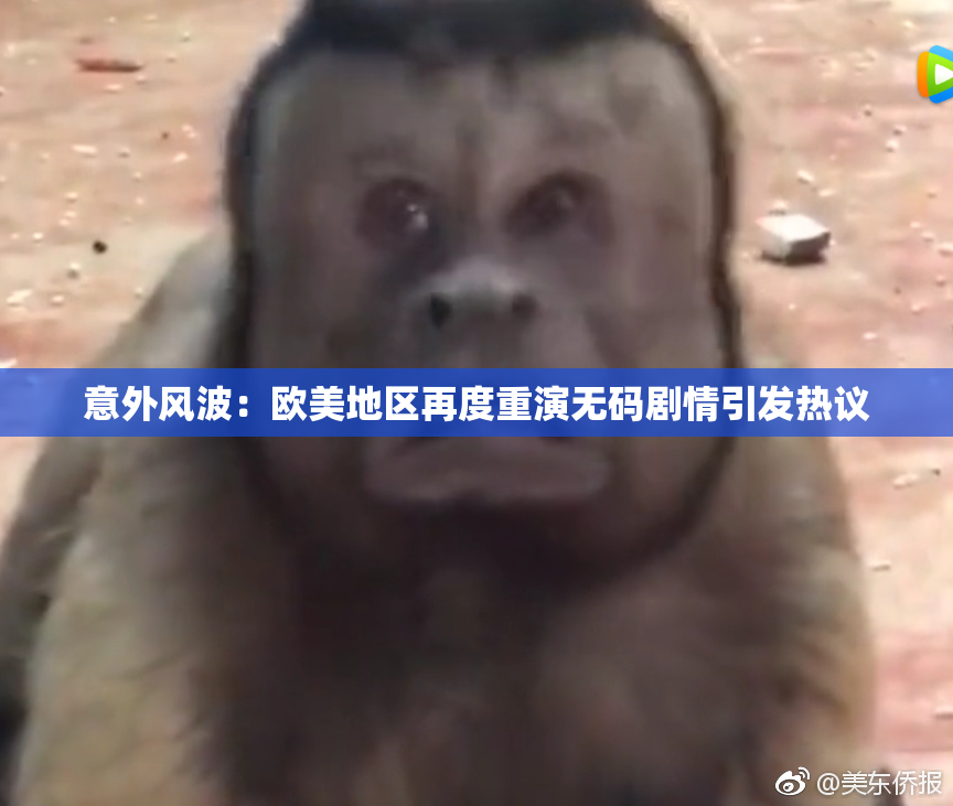 意外风波：欧美地区再度重演无码剧情引发热议