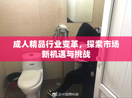 成人精品行业变革，探索市场新机遇与挑战