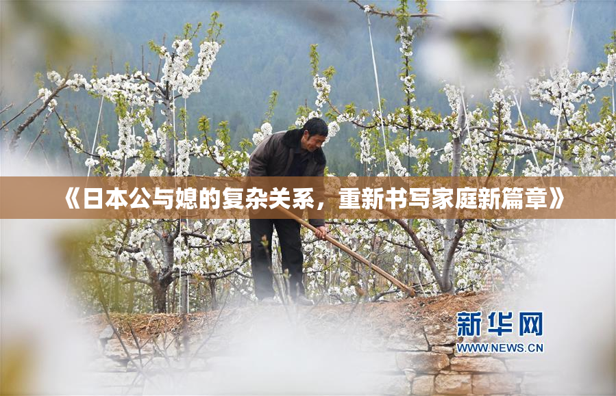 《日本公与媳的复杂关系，重新书写家庭新篇章》