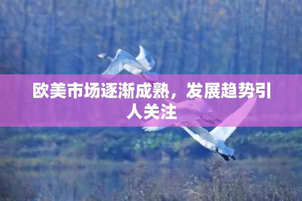 欧美市场逐渐成熟，发展趋势引人关注