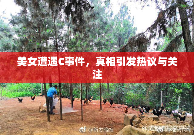 美女遭遇C事件，真相引发热议与关注