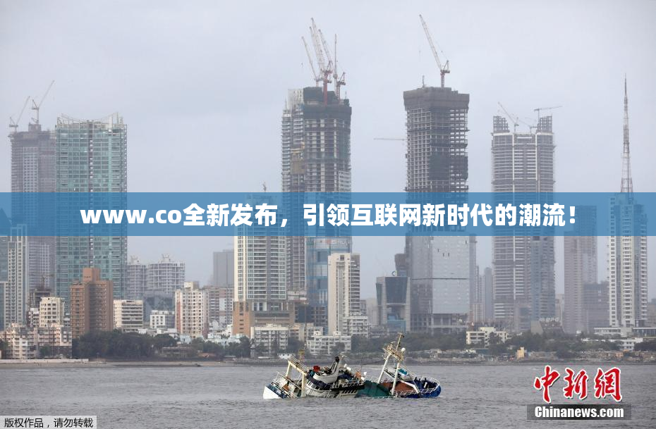 www.co全新发布，引领互联网新时代的潮流！