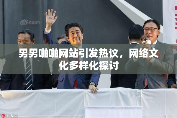 男男啪啪网站引发热议，网络文化多样化探讨