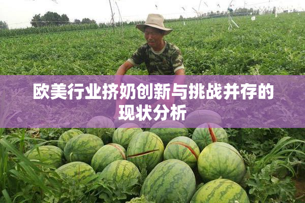 欧美行业挤奶创新与挑战并存的现状分析
