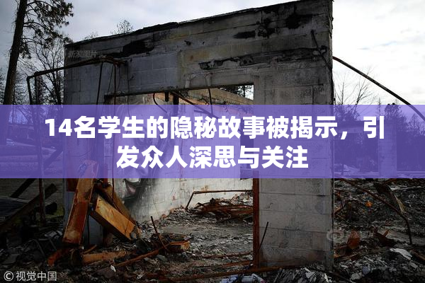 14名学生的隐秘故事被揭示，引发众人深思与关注