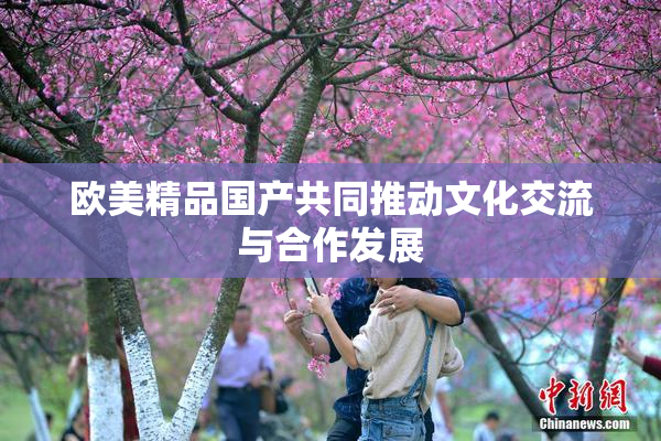 欧美精品国产共同推动文化交流与合作发展