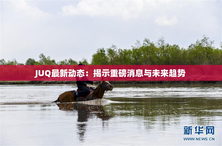 JUQ最新动态：揭示重磅消息与未来趋势