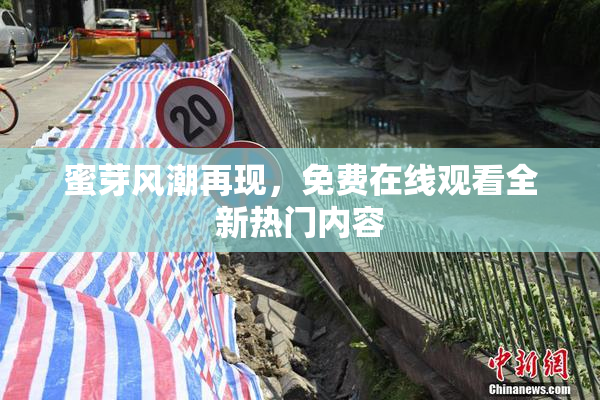 蜜芽风潮再现，免费在线观看全新热门内容