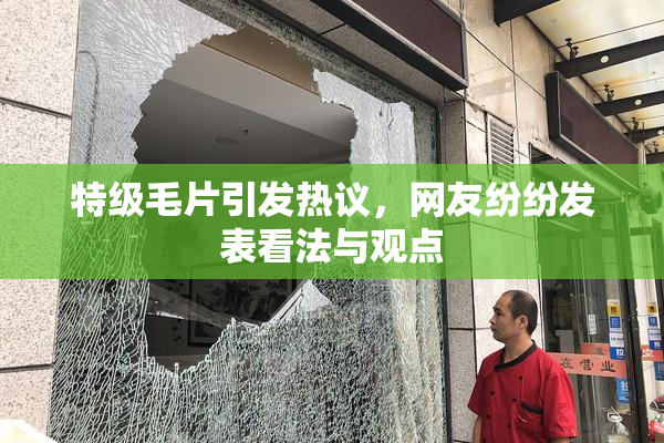 特级毛片引发热议，网友纷纷发表看法与观点