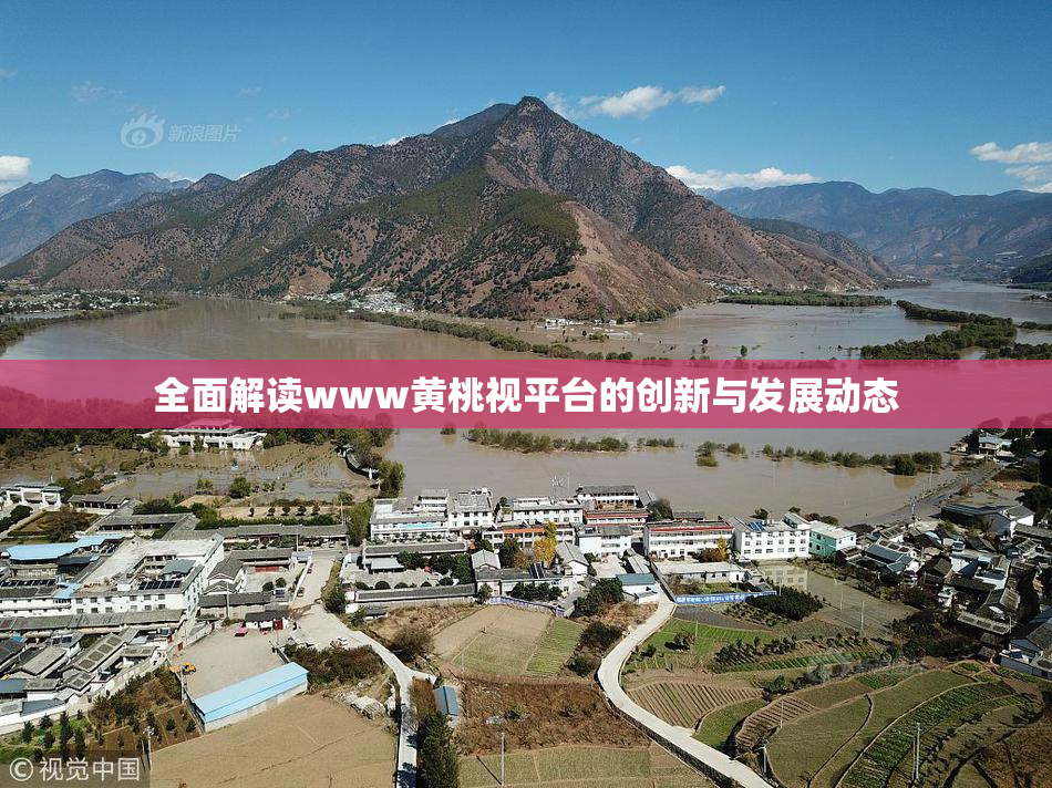 全面解读www黄桃视平台的创新与发展动态